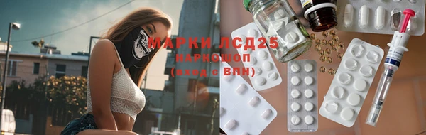 стаф Каменка