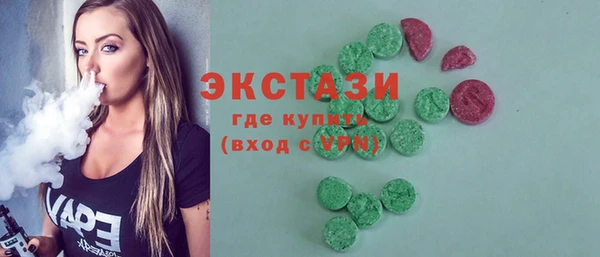 стаф Каменка