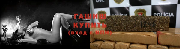 стаф Каменка