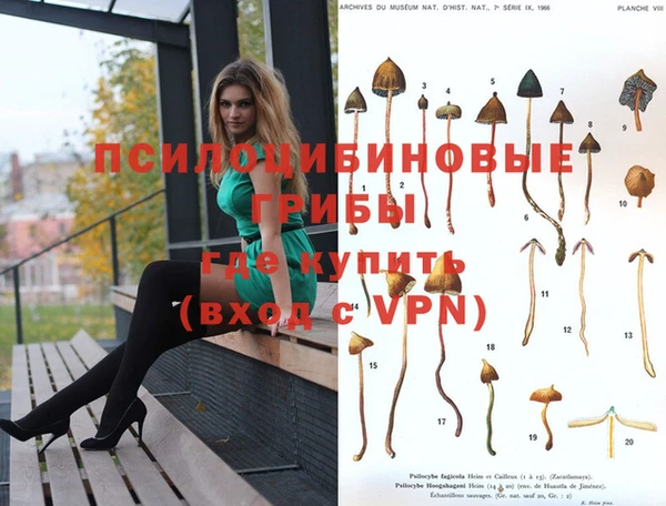 ПСИЛОЦИБИНОВЫЕ ГРИБЫ Карпинск