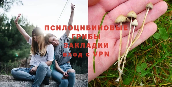 дживик Каменск-Шахтинский