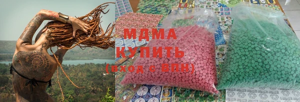 стаф Каменка