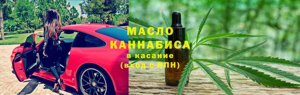 стаф Каменка