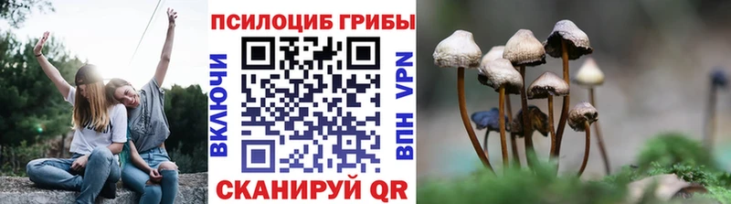 Псилоцибиновые грибы ЛСД Данков